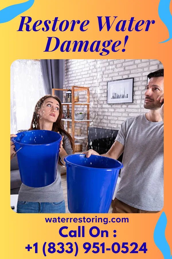 water restoration Total Storm Recovery Pros Roachester