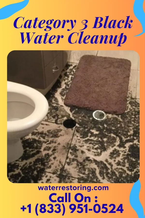 Category 3 Black Water Cleanup in Roachester, OH