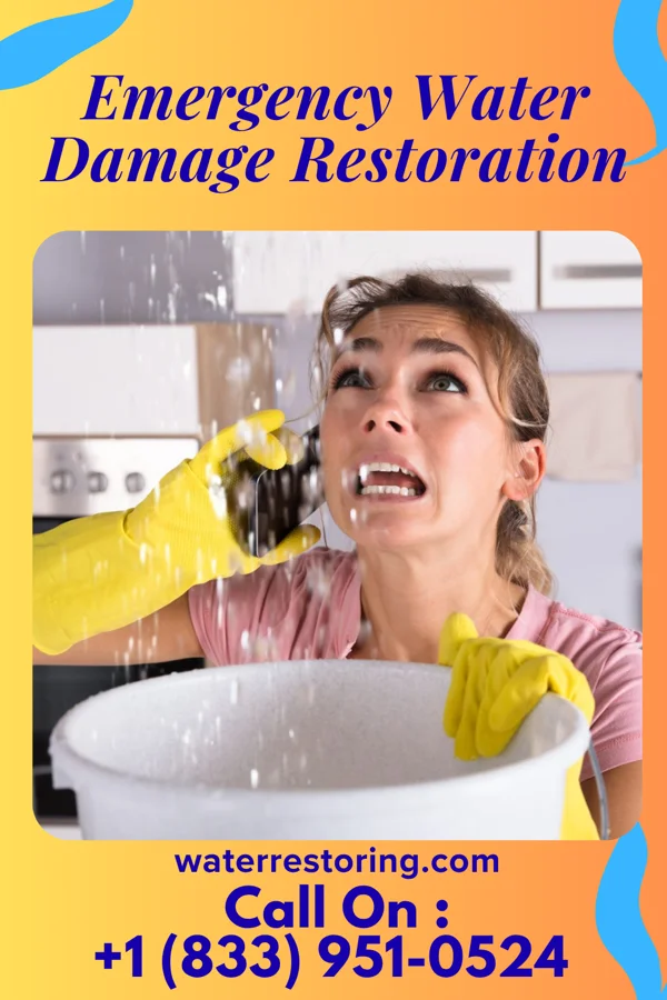 Emergency Water Damage Restoration in Roachester, OH