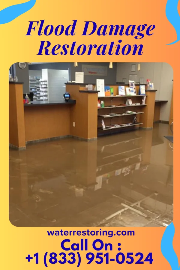 Flood Damage Restoration in Roachester, OH