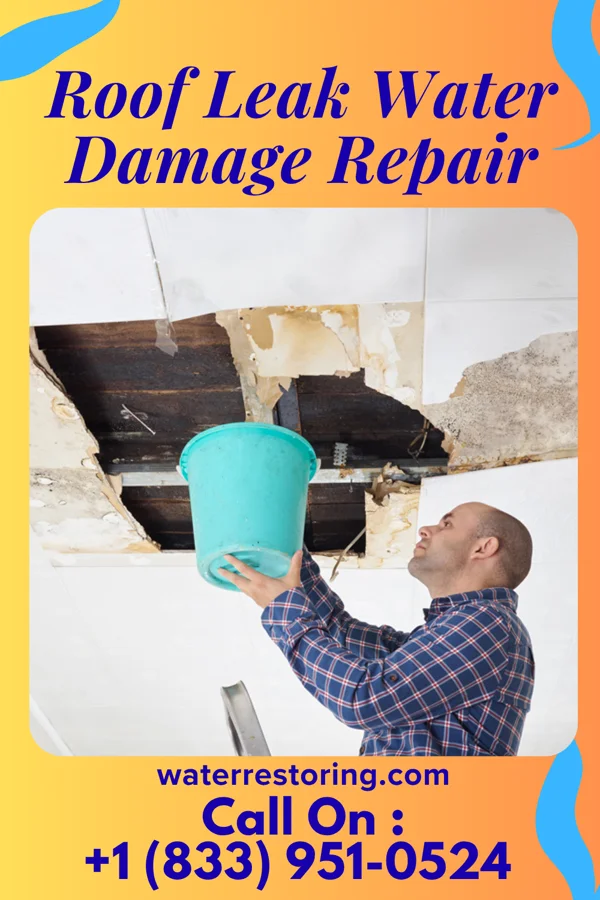 Roof Leak Water Damage Repair in Roachester, OH