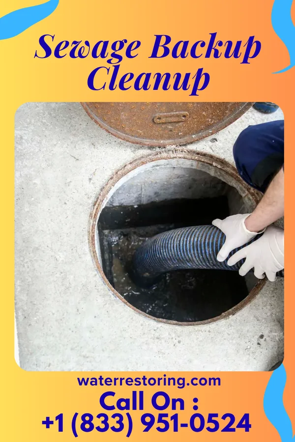 Sewage Backup Cleanup in Roachester, OH